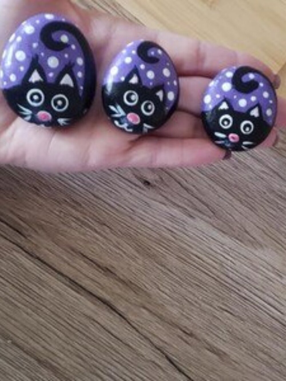 Hand painted cat kindness rocks